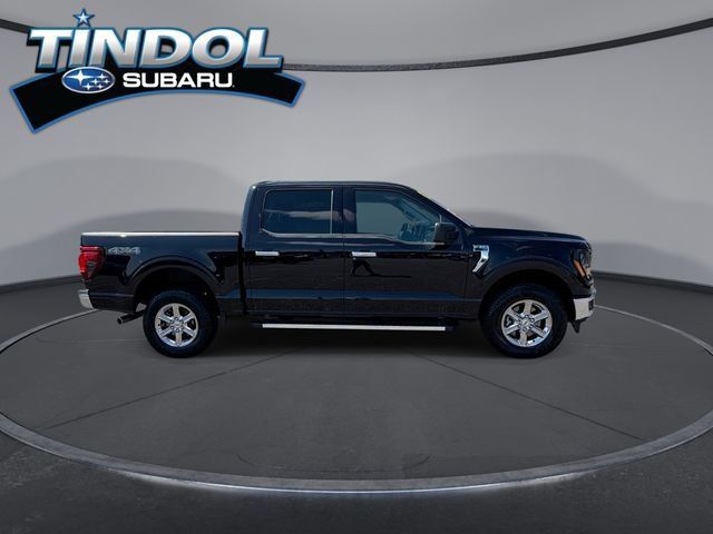 Used 2025 Ford F150 XLT w/ Equipment Group 301A Standard AWD/4WD image 10