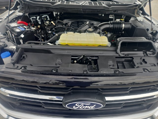 Used 2025 Ford F150 XLT w/ Equipment Group 301A Standard AWD/4WD image 18