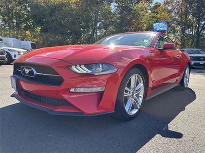 Certified 2019 Ford Mustang Premium w/ Pony Package