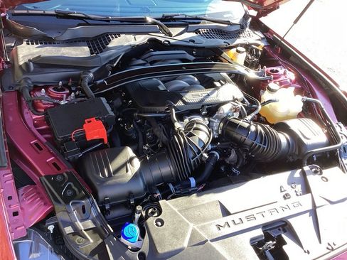 New 2025 Ford Mustang GT Premium image 16