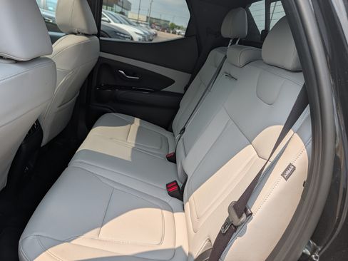 Used 2025 Hyundai Santa Cruz SEL AWD/4WD image 13