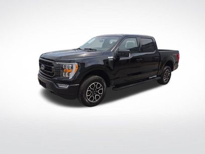 Used 2023 Ford F150 XLT w/ Equipment Group 302A High