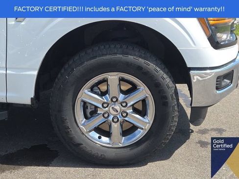 Used 2025 Ford F150 XLT w/ Equipment Group 301A Standard AWD/4WD image 6