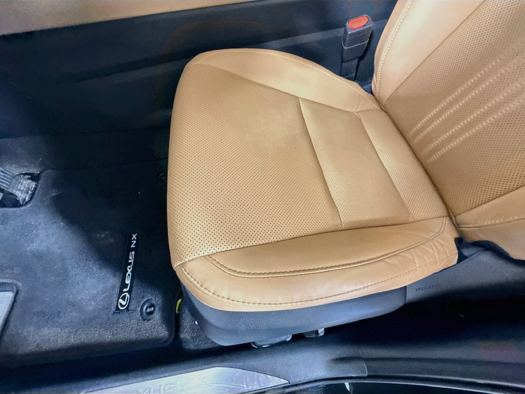 Certified 2025 Lexus NX 350h AWD w/ Cold Area Package image 19