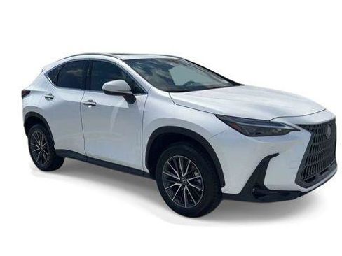 Certified 2024 Lexus NX 350 AWD image 2