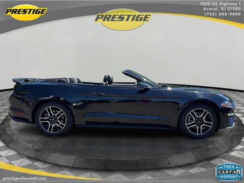 Used 2019 Ford Mustang Premium RWD image 4