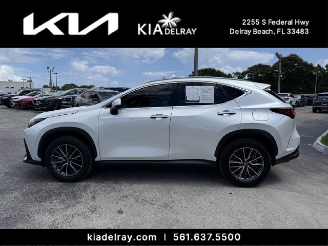 Used 2024 Lexus NX 350h AWD image 5