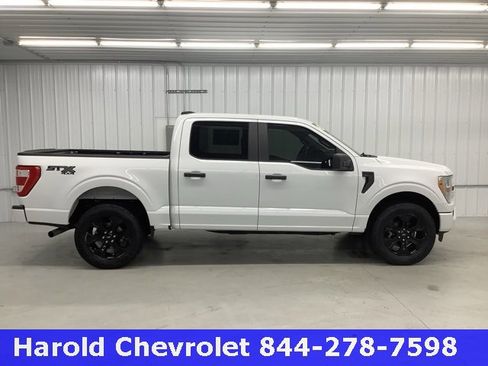 Used 2022 Ford F150 XL w/ STX Black Appearance Package image 6