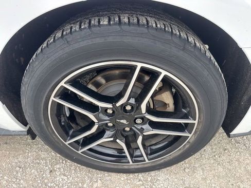 Used 2023 Ford Mustang Premium w/ Equipment Group 201A RWD image 9