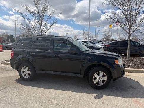 Used 2012 Ford Escape XLT w/ Class II Trailer Towing Pkg image 4