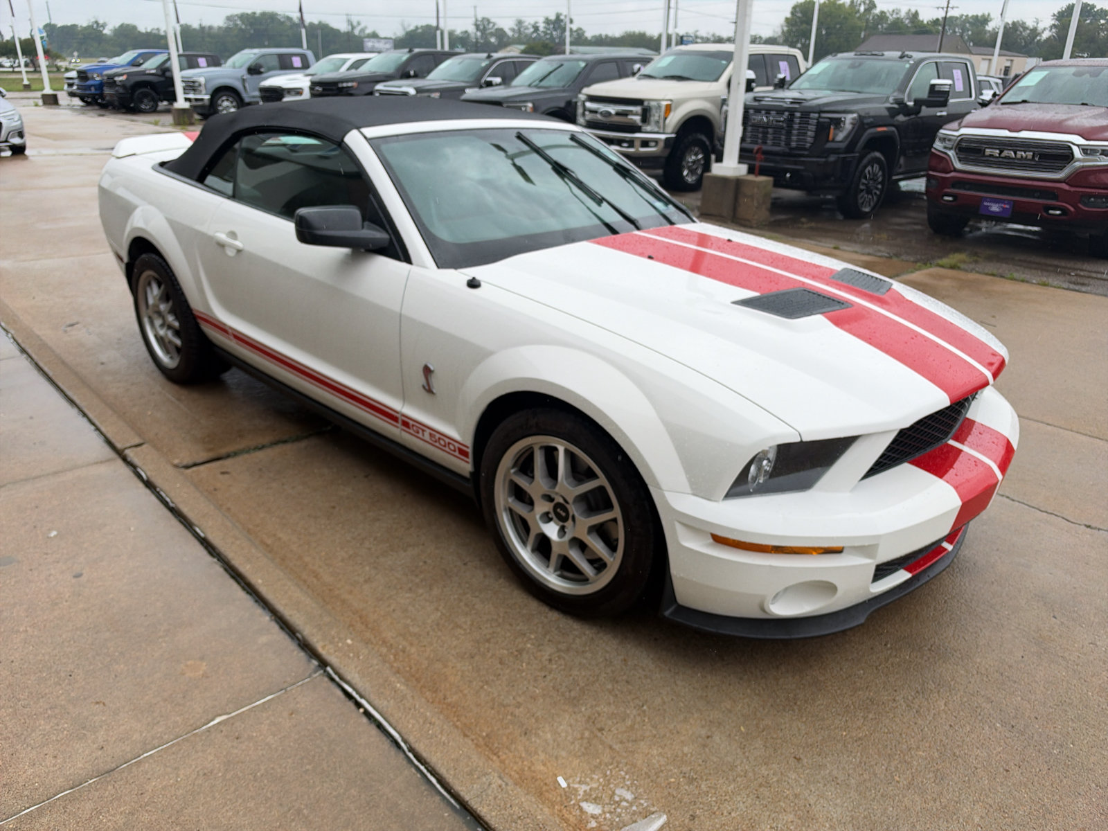 Used 2008 Ford Mustang Shelby GT500 RWD image 4