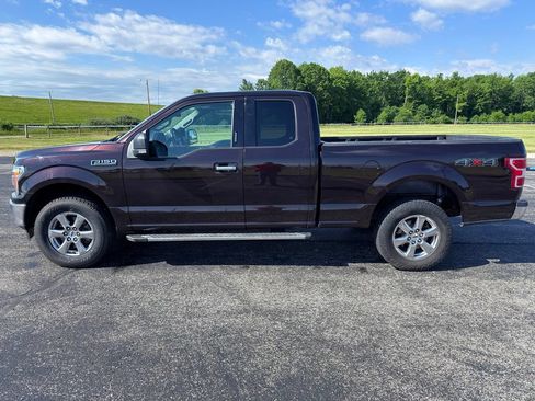 Used 2019 Ford F150 XLT w/ Equipment Group 302A Luxury AWD/4WD image 16