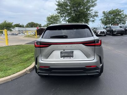 Certified 2025 Lexus NX 350 AWD w/ Cold Area Package