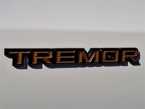 New 2026 Ford Expedition Tremor image 10