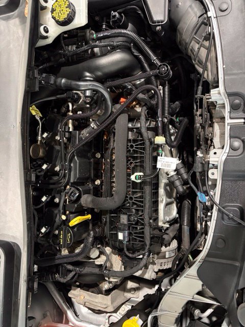 Used 2019 Ford Escape SE AWD/4WD image 26