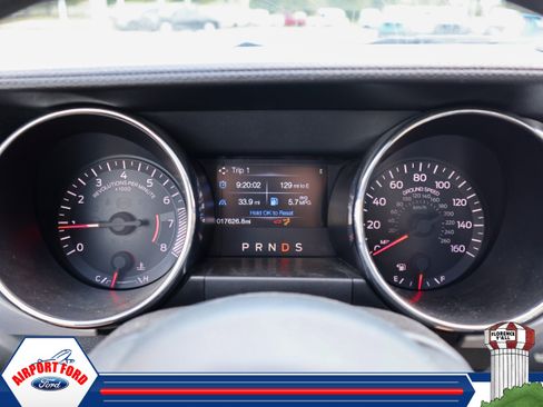 Used 2015 Ford Mustang Premium w/ Equipment Group 201A RWD image 6