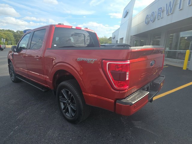 Used 2023 Ford F150 XLT w/ Equipment Group 302A High AWD/4WD image 9