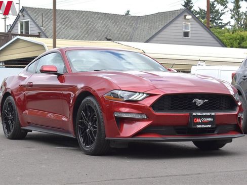 Used 2019 Ford Mustang Coupe w/ Equipment Group 101A image 1