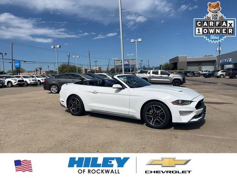 Used 2023 Ford Mustang Premium image 1