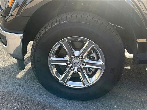 Used 2025 Ford F150 XLT w/ Equipment Group 301A Standard AWD/4WD image 11