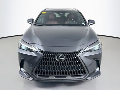 Certified 2024 Lexus NX 350 AWD w/ Cold Area Package