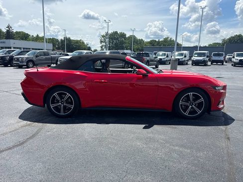 Used 2025 Ford Mustang Premium RWD image 7