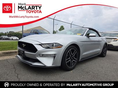 Used 2019 Ford Mustang Premium