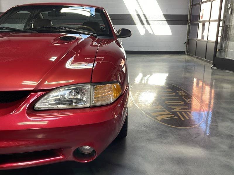 Used 1996 Ford Mustang Cobra RWD image 4