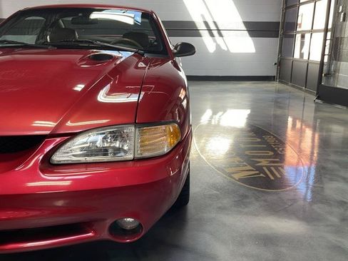 Used 1996 Ford Mustang Cobra RWD image 4