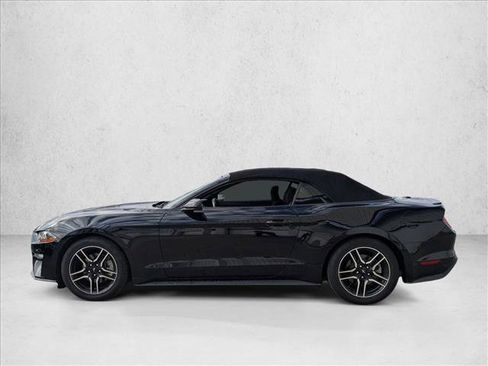 Used 2019 Ford Mustang EcoBoost w/ Equipment Group 101A image 7