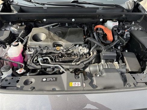 Certified 2025 Toyota RAV4 LE image 29