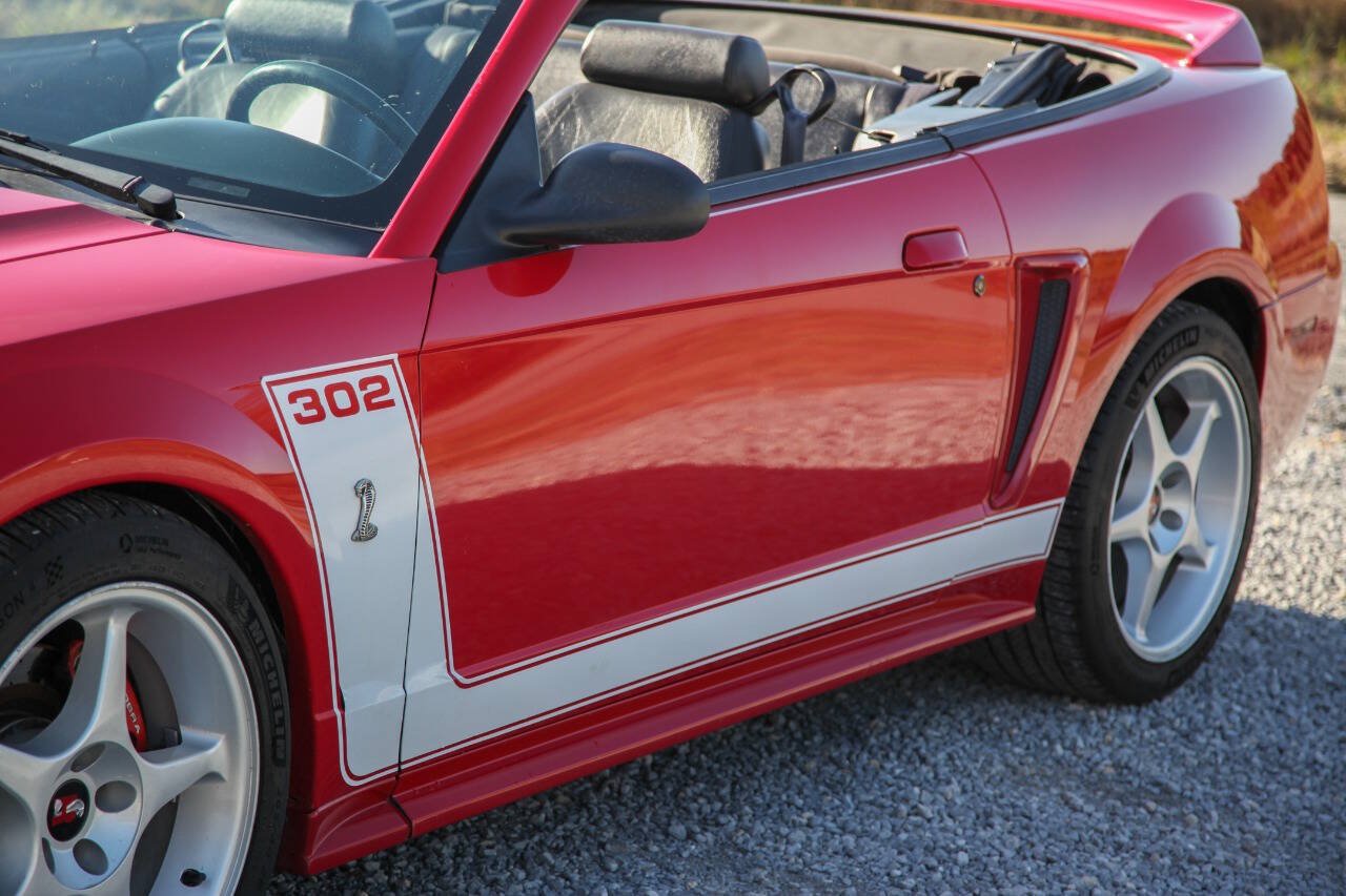 Used 1999 Ford Mustang Cobra RWD image 6