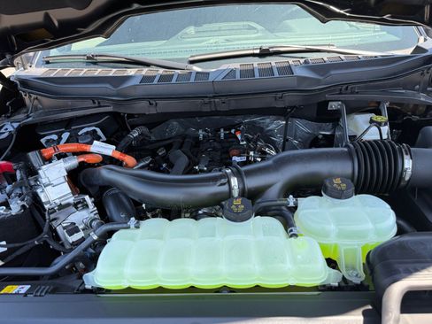 New 2025 Ford F150 XLT w/ Equipment Group 302A MID image 20