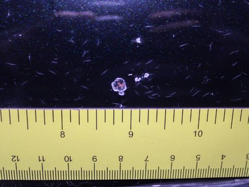 Used 2005 Subaru Baja Turbo image 28