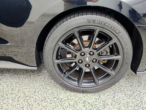 Used 2016 Ford Mustang GT Premium w/ Equipment Group 401A RWD image 9
