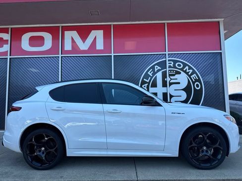 Used 2023 Alfa Romeo Stelvio Estrema AWD/4WD image 4