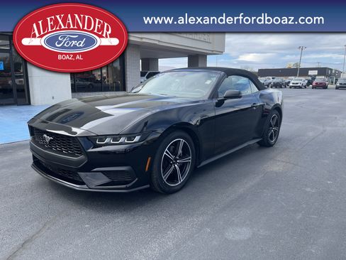 Used 2024 Ford Mustang Premium image 1