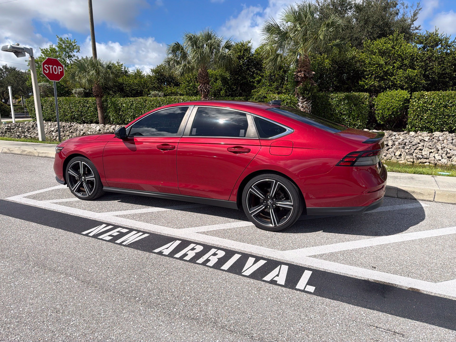 Used 2024 Honda Accord Sport image 6