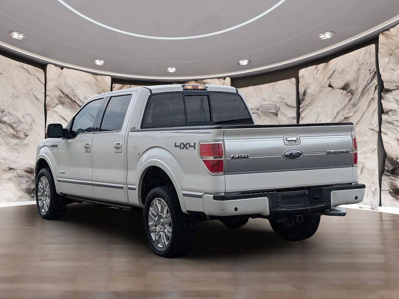 Used 2011 Ford F150 Platinum AWD/4WD image 6