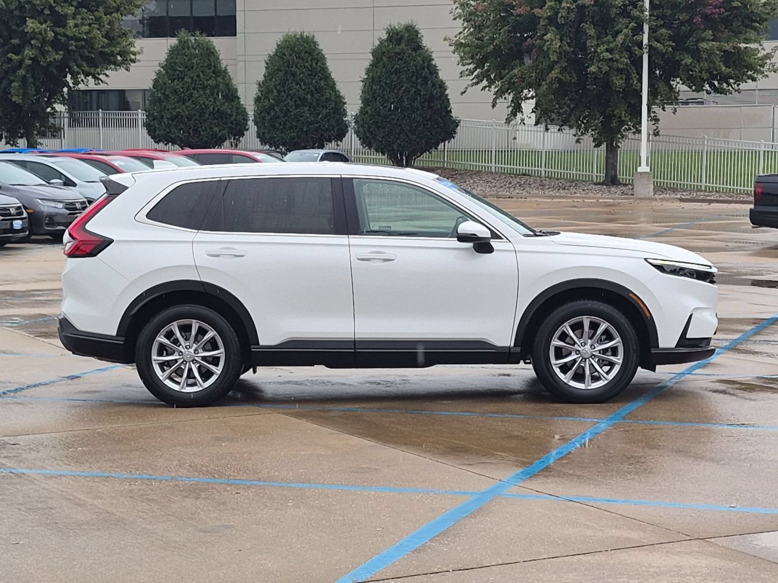 Certified 2024 Honda CR-V EX-L image 6