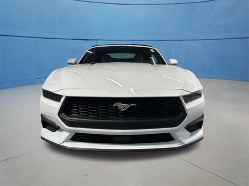 Used 2026 Ford Mustang Premium RWD image 5