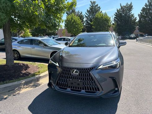 Used 2025 Lexus NX 350h AWD w/ Cold Area Package image 3