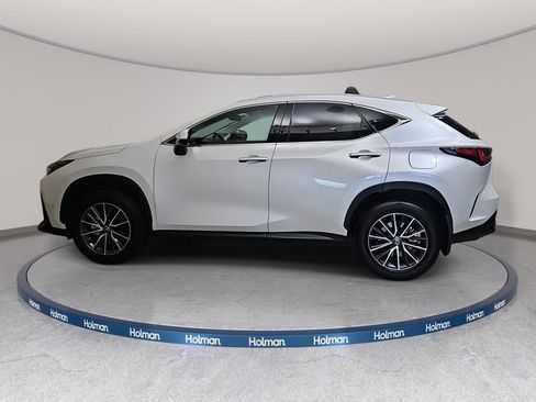 Used 2025 Lexus NX 350 AWD w/ Cold Area Package image 9