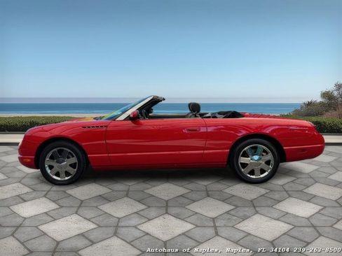 Used 2002 Ford Thunderbird Deluxe image 12