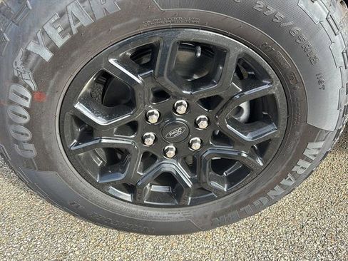 New 2025 Ford F150 XLT w/ Equipment Group 302A MID image 9