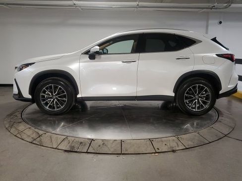 Used 2025 Lexus NX 350h AWD w/ Premium Package image 5