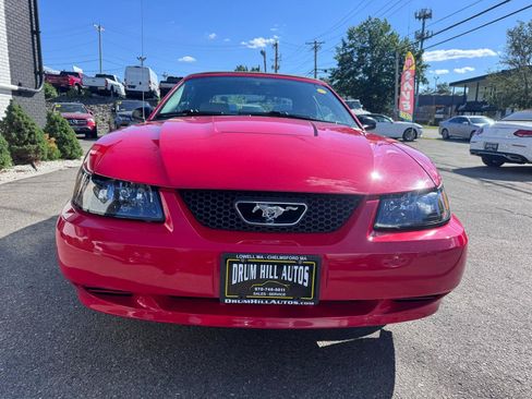 Used 2004 Ford Mustang Convertible RWD image 10