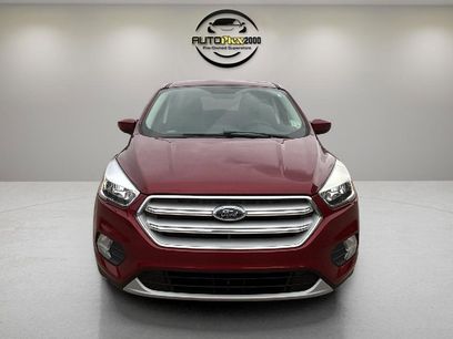 Used 2019 Ford Escape SE