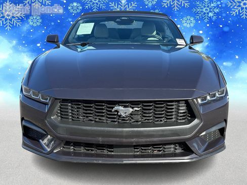 Used 2024 Ford Mustang Premium image 5