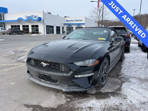 Used 2018 Ford Mustang Premium image 1
